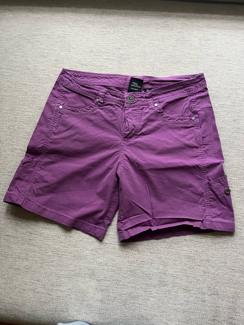 Kuhl Purple Shorts Size 10